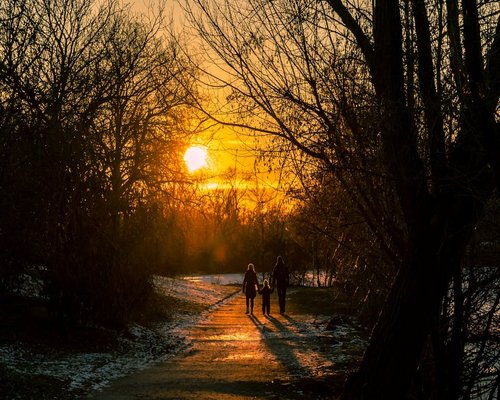 Family taking an evening walk in a park